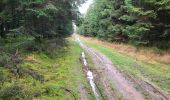 Trail Walking Vielsalm - Bihain 191123 - Photo 12