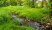 Randonnée A pied Schlepzig - Naturlehrpfad Buchenhain - Photo 6