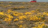 Tocht Stappen Saint-Pierre-Quiberon - Quiberon tour  - Photo 2