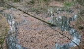 Excursión Senderismo Vauchassis - Grands Bois - Photo 2