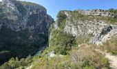 Randonnée Marche Rougon - Point sublime Verdon Blanc Martel 12 km - Photo 14