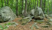 Trail Walking Chamarande - Lardy - Le Lièvre d'Or - Photo 3