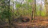 Randonnée Marche Vieux-Moulin - en forêt de Compiègne_26_la Grotte des Ramoneurs_Tournantes de la Queue de Saint-Etienne et sur la Côte de Roilaye - Photo 20