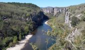 Tocht Stappen Berrias-et-Casteljau - Gorges du Chassezac - Photo 17