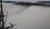 Tocht Stappen Sonthonnax-la-Montagne - Point de vue vallée de l'Ain - Photo 1