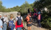 Trail Walking Cavaillon - PF-Cavaillon - La Colline Saint Jacques - Photo 5