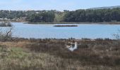 Randonnée Marche Fréjus - etangs de villepey et collines - Photo 6