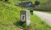 Trail On foot Mümliswil-Ramiswil - Wasserfallen Rochus Kapelle - Mümliswil - Photo 1