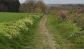 Tocht Stappen Houyet - Randonnée à Houyet 🌼 - Photo 1