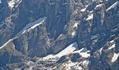 Excursión A pie Grindelwald - First - Grosse Scheidegg (Höhenweg 2400) - Photo 5