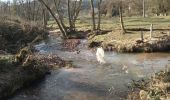 Trail On foot Fellen - Ortswanderweg Burgsinn 1 - Photo 4