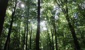 Trail Walking Houppeville - 20200905-Houppeville  - Photo 5