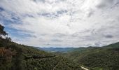 Randonnée A pied la Vall de Bianya - Via Romana del Capsacosta des del Pas dels Traginets - Photo 2