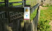 Tocht Te voet Wychavon - Hanbury Circular Walk - Photo 4