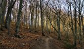 Tour Wandern Saou - Forêt de Saoû - Les Pomerolles - Photo 9