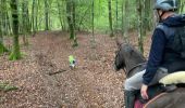 Tour Reiten Habich - Habay forêt d’Anlier - Photo 4