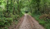 Trail Walking Marolles - Site naturel et archéologique de la Grande Pierre et Vitain - Photo 5