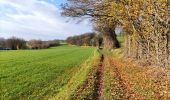 Tocht Stappen Aubel - Balade de la Bel   - Photo 3