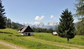 Tour Zu Fuß Vorderstoder - Wildererweg - Photo 2