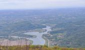 Trail Walking Saint-Pierre-d'Alvey - Mont Tournier pierre vire-28-04-23 - Photo 6