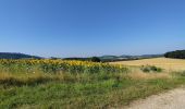 Excursión Senderismo Saint-Lothain - Saint Lothain - Photo 15