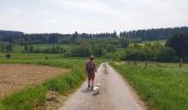 Tocht Stappen Gedinne - Balade à Gedinne - Photo 16