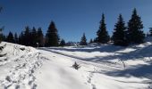 Trail Snowshoes Crêts-en-Belledonne - le Barioz -le Grand rocher - cret du poulet - Photo 5