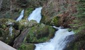 Tocht Stappen Triberg im Schwarzwald - Cascade de Triberg 30.10.22 - Photo 6