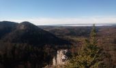 Tour Wandern La Chaux-du-Dombief - Pic de l'Aigle - Photo 9