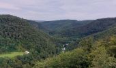 Trail Walking Moselkern - ringelsteiner muhle vers village Moselkern  - Photo 10