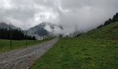 Tour Wandern Arâches-la-Frasse - Flaine, col Pelouse par la cabane de Balacha - Photo 5