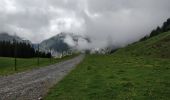 Randonnée Marche Arâches-la-Frasse - Flaine, col Pelouse par la cabane de Balacha - Photo 5