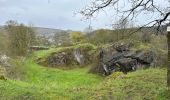 Tour Wandern Viroinval - Nismes demi boucle géologique 6,2 km - Photo 5