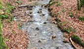 Trail Walking Bouillon - Bouillon L’Epine - Photo 7