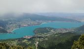 Tocht Stappen Talloires-Montmin - LANFONNET   N°2 depuis la Forclaz  - Photo 6