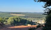 Trail Walking Libramont-Chevigny - Banalbois - Photo 1