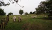 Tour Wandern La Trinité - Spoutourne - Photo 1