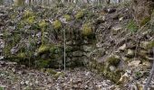 Trail On foot Gomadingen - Neandertalerweg - Photo 8
