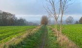 Tocht Stappen Oudenaarde - Ename 13,5 km - Photo 3