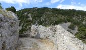 Trail Walking Buoux - Buoux-Grand Luberon 17km - Photo 3