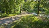 Percorso Marcia Fontaines-en-Sologne - Fontaines-en-Sologne - Les étangs - Photo 15