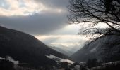 Tour Zu Fuß Gemeinde Kleinzell - Laufend geniessen (Kurhotel Salzerbad) - Photo 8