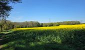 Tocht Stappen Vigneux-de-Bretagne - De Vigneux de Bretagne à Savenay  - Photo 3