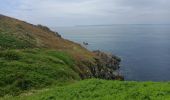 Tocht Stappen Poullan-sur-Mer - POULLAN SUR MER - Photo 2