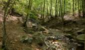 Randonnée A pied Aywaille - AY21 Vallon du Ninglinspo - Photo 9