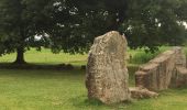 Tocht Stappen Durbuy - Les Dolmens de Wéris  - Photo 6