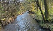 Tocht  Fauvillers - Les trésors de la Missbour - Photo 7