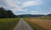 Trail On foot Großrinderfeld - Liebliches Taubertal – Rundwanderweg 8 – Ins Welzbachtal - Photo 1