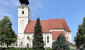 Tour Zu Fuß Aschbach-Markt - Bärenholzweg - Photo 2