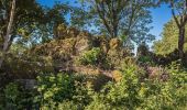 Tour Zu Fuß Litzendorf - Rund um den Ellerberg - Photo 4